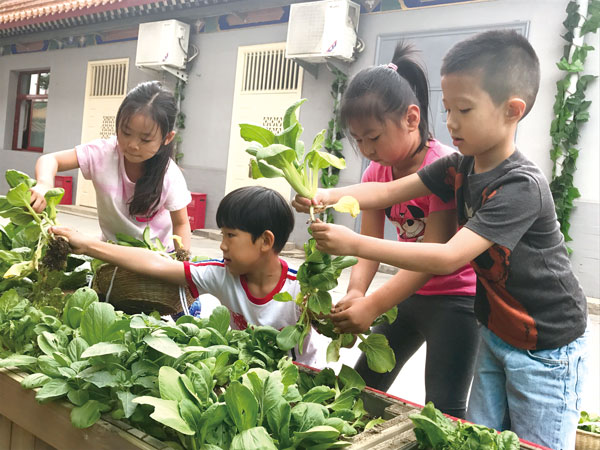 共同编织儿童快乐成长的摇篮——北京市第一幼儿园综合教育实践纪实