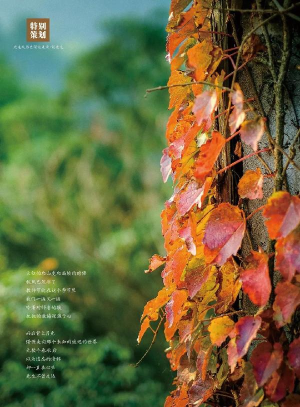 先生从历史深处走来