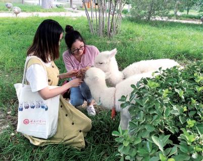 陆云泉：站在教育迭代的节点上办教育