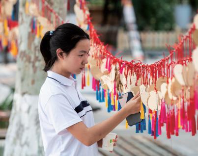 陆云泉：站在教育迭代的节点上办教育