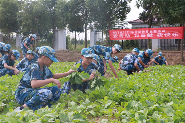 中央专项彩票公益金，助力荆门校外德育研学