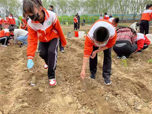 积极打造劳动教育的“沈阳模式”