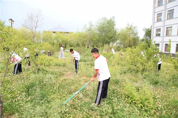 积极打造劳动教育的“沈阳模式”